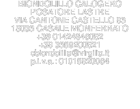 BIONDOLILLO CALOGERO